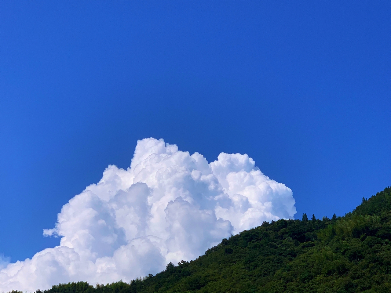 摄影师驾到丨秋天的棉花云