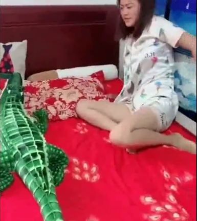 女友正在熟睡,小伙将鳄鱼放到她身边,女友睁眼后被吓了一跳!休闲区蓝鸢梦想 - Www.slyday.coM 女友正在熟睡,小伙将鳄鱼放到她身边,女友睁眼后被吓了一跳!休闲区蓝鸢梦想 - Www.slyday.coM