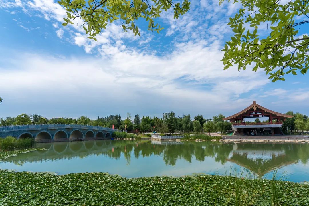 郑州园博园,即将重启!|园博园|郑州|同心湖_新浪新闻