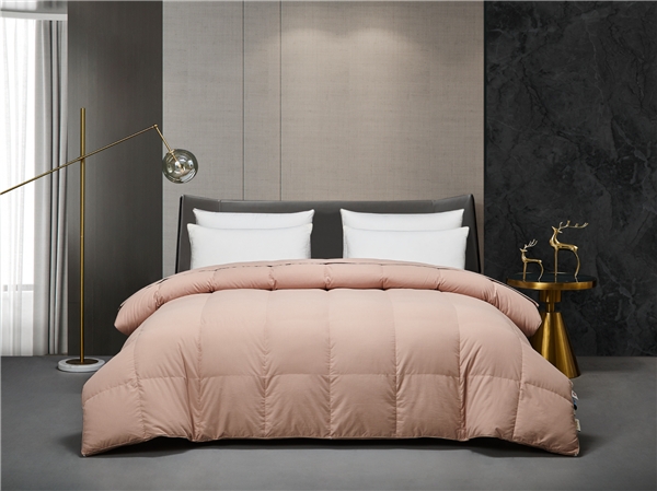 开学季焕新艾莱依家纺活力床品温馨守护学子睡眠