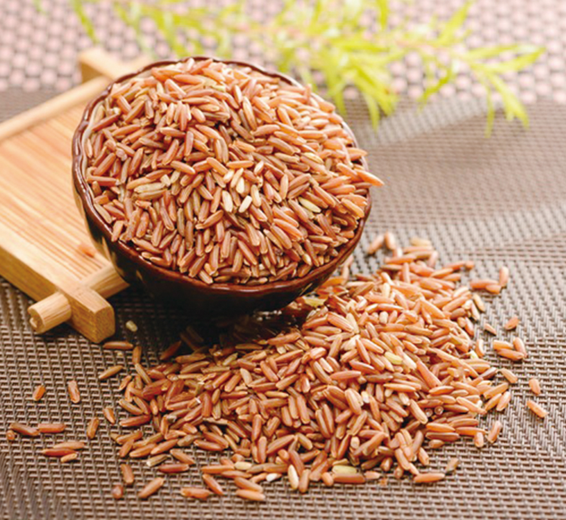 当大米美成一道彩虹,挑逗你的美食欲望|竹米|大米|红米_新浪新闻