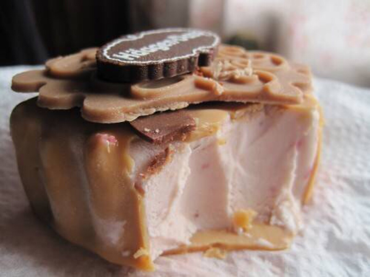 哈根达斯暴露资本家本性为了赚钱不惜偷工减料冰淇淋月饼造假