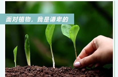 许小良:写在纸上的生命(诗歌·外三首)休闲区蓝鸢梦想 - Www.slyday.coM 许小良:写在纸上的生命(诗歌·外三首)休闲区蓝鸢梦想 - Www.slyday.coM