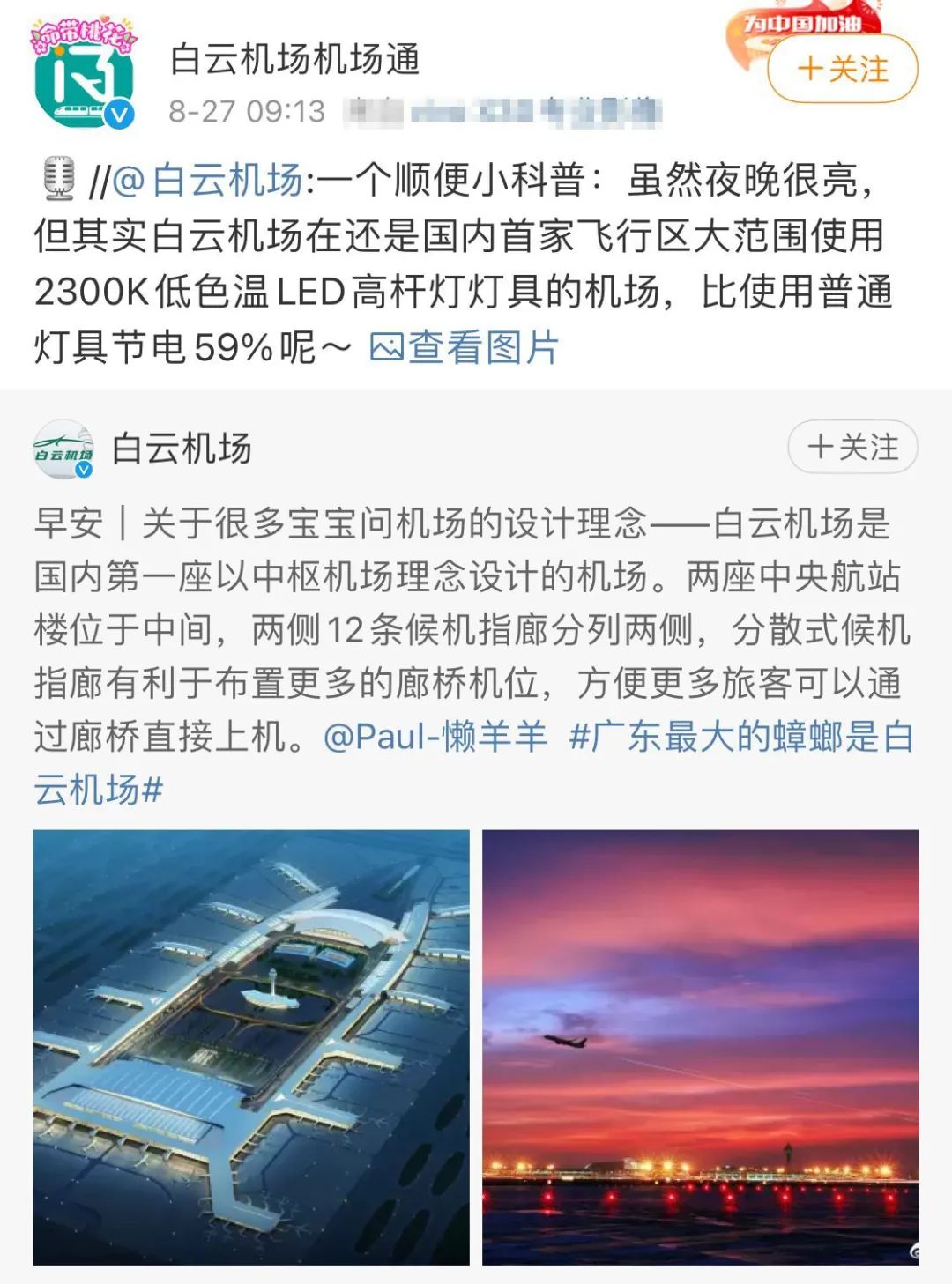 哈哈哈哈广东最大蟑螂是白云机场上热搜官方调皮回应