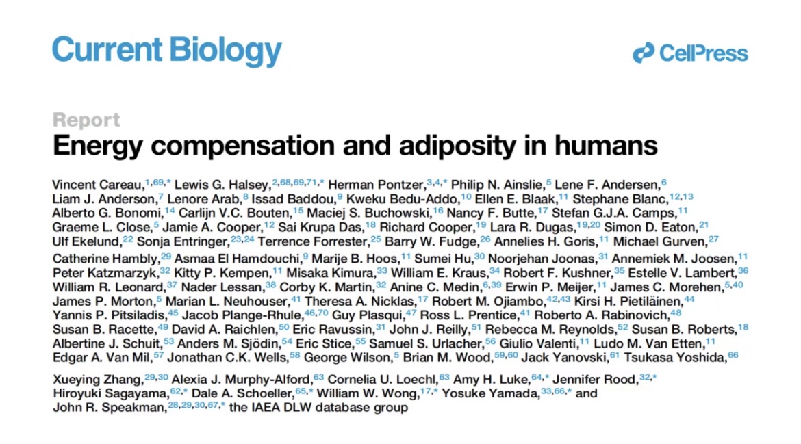 胖子减肥不易 研究表明运动会降低基础代谢水平休闲区蓝鸢梦想 - Www.slyday.coM