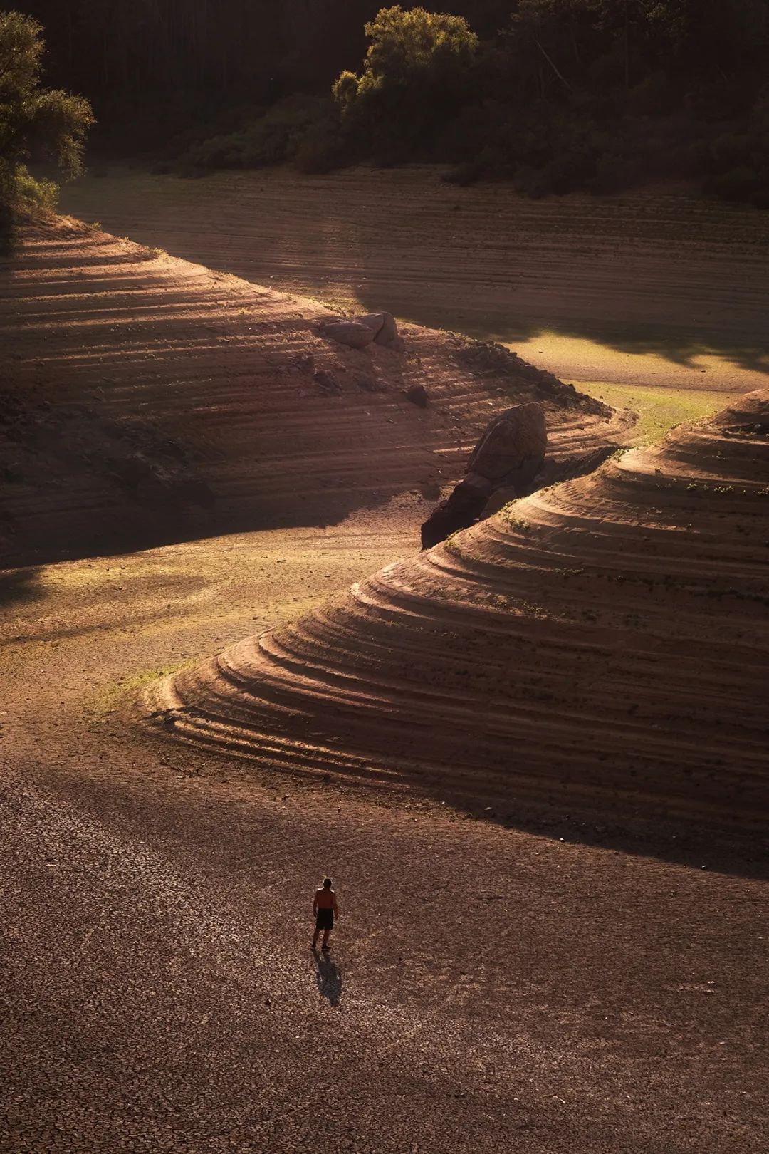世界摄影奖获奖作品每一张都震撼心灵