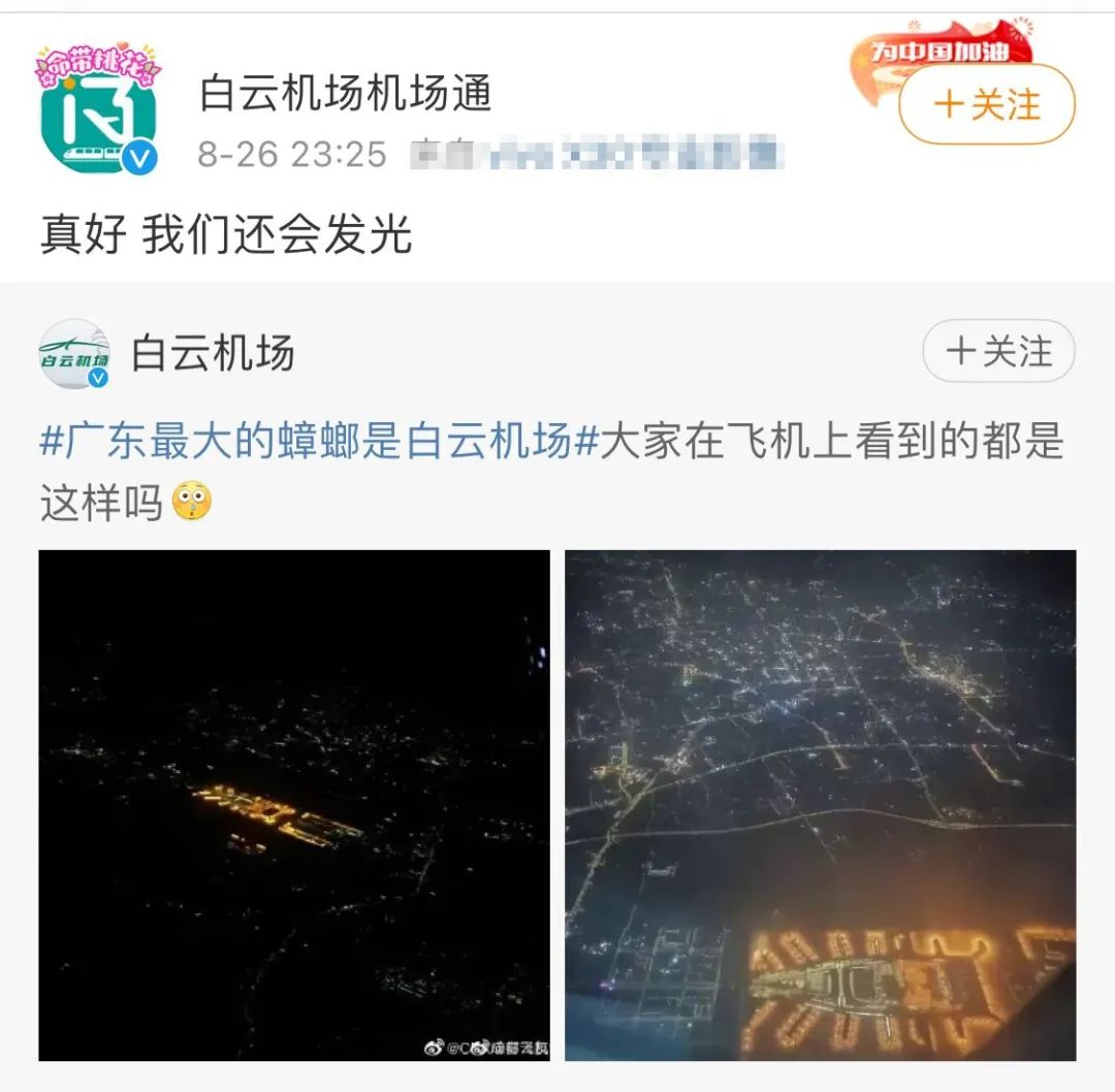 哈哈哈哈广东最大蟑螂是白云机场上热搜官方调皮回应