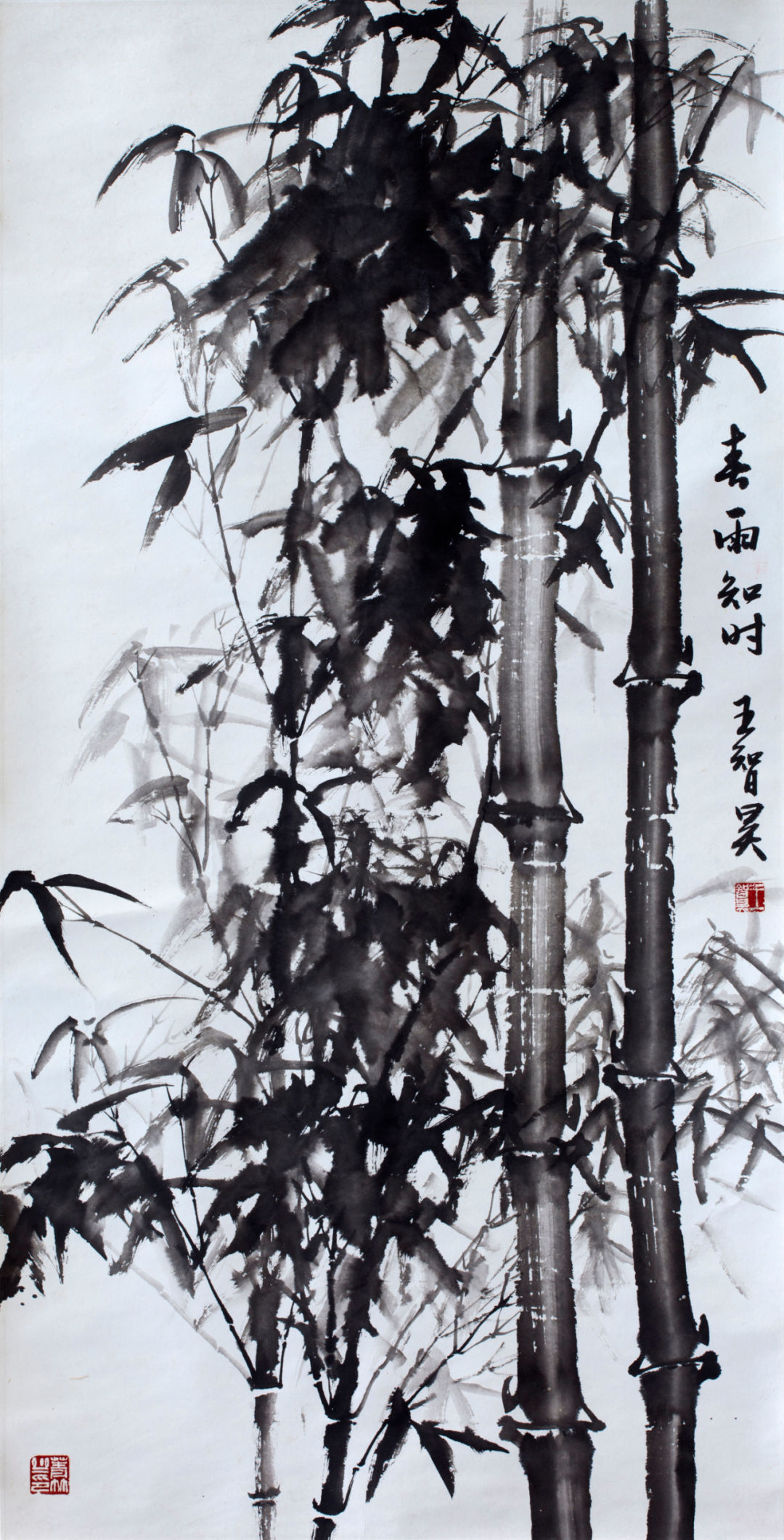 翰墨丹青展风采——女画家王智昊墨竹作品欣赏__财经头条
