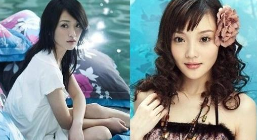 周迅和李小璐的脸型很相似,风格差异很大,各自的发展差异也很大.
