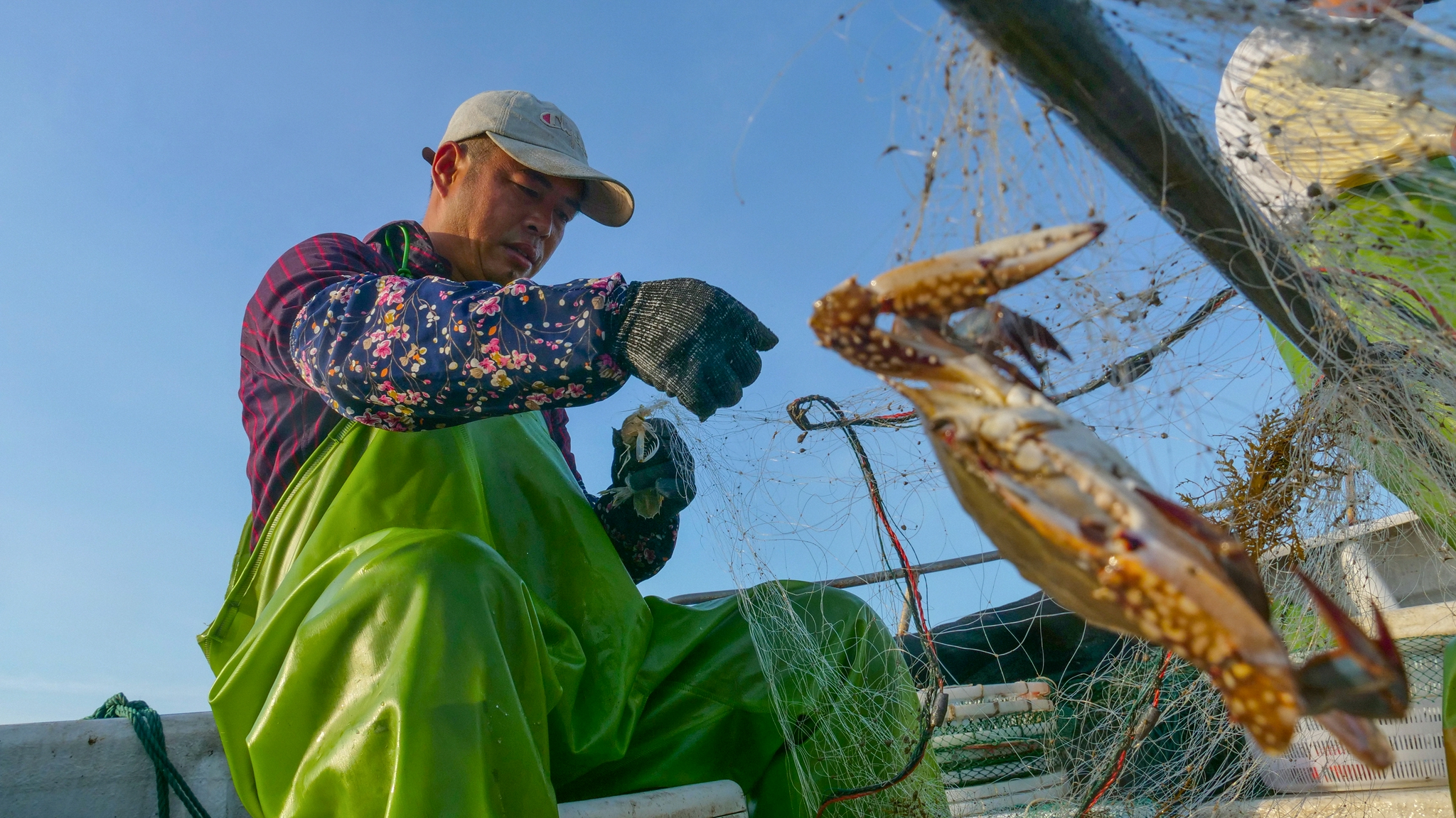 逆风逐浪的"捕蟹人"
