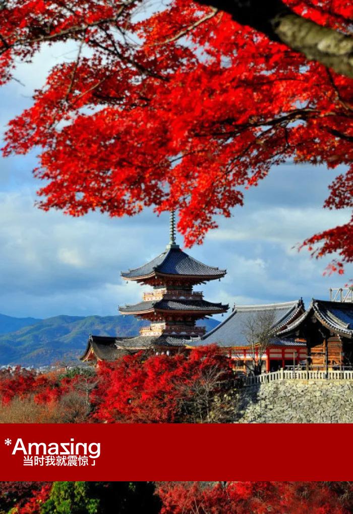 风情街,小镰仓…看烦了|日本_新浪新闻