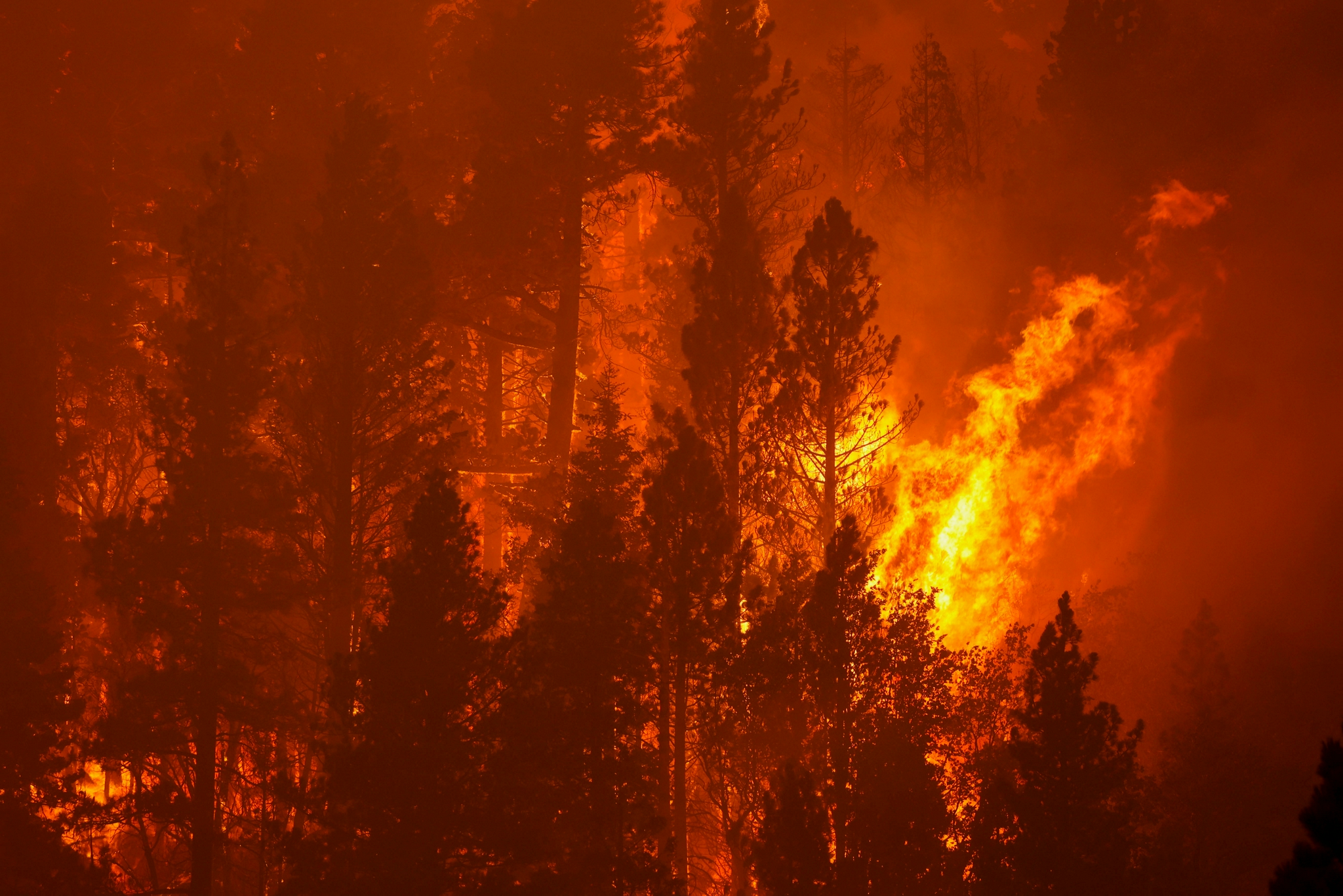 美国加州:山火持续