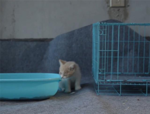 95后江苏女孩用10年积蓄，买下120㎡毛坯房，为省钱不装修直接住休闲区蓝鸢梦想 - Www.slyday.coM