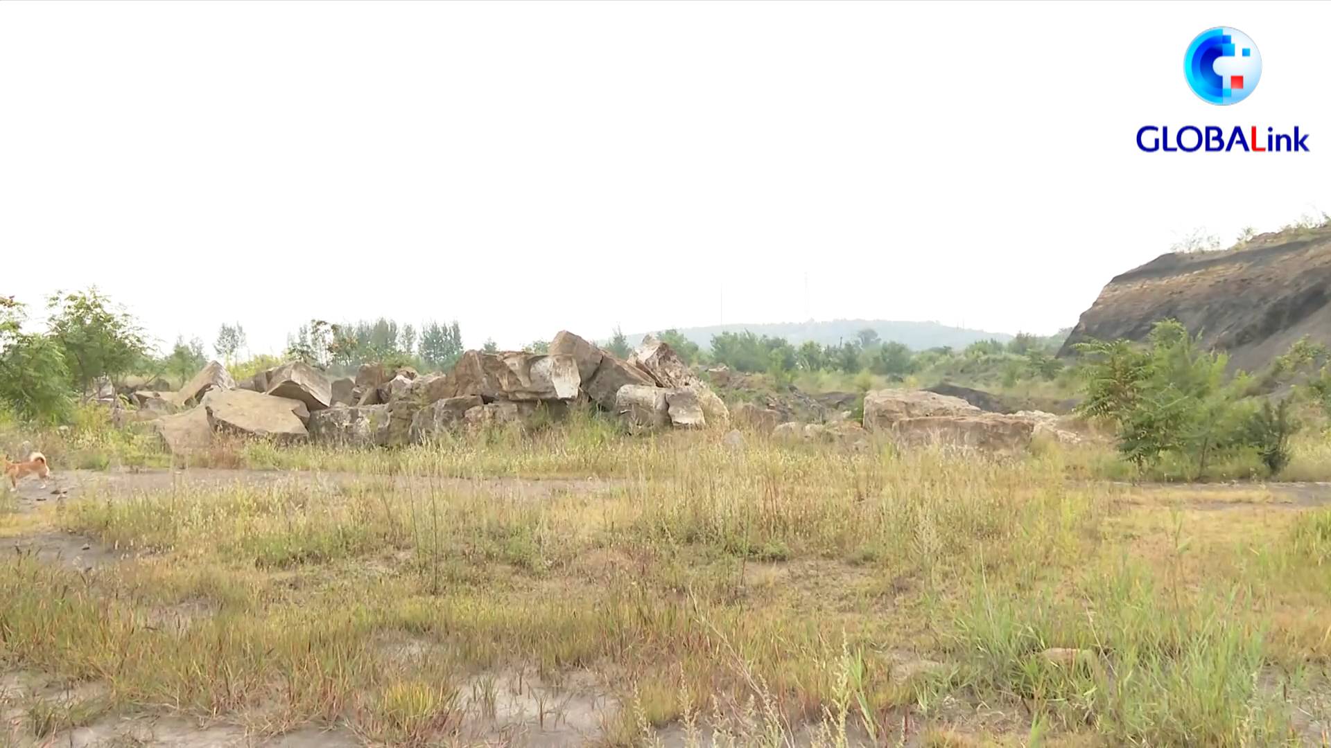 全球连线｜中国首次发现2.9亿年前史前凶猛鲨鱼化石休闲区蓝鸢梦想 - Www.slyday.coM