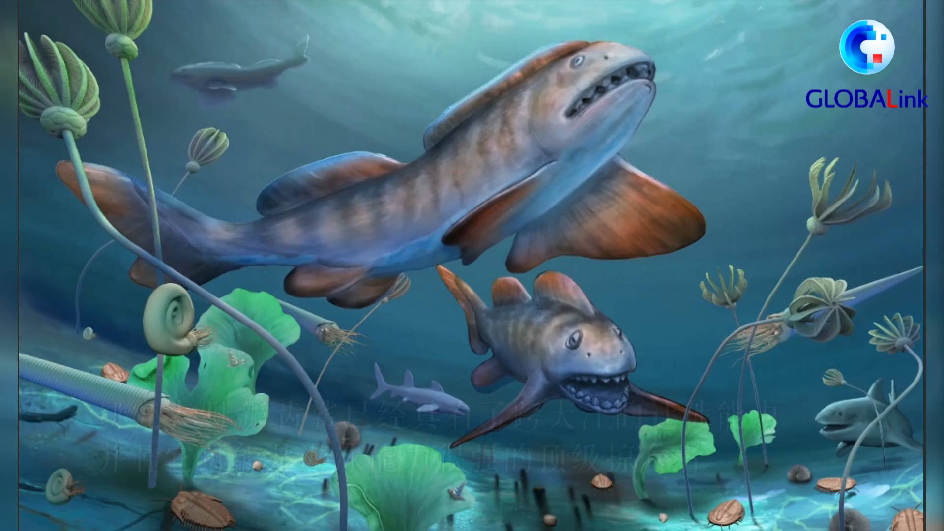 全球连线｜中国首次发现2.9亿年前史前凶猛鲨鱼化石休闲区蓝鸢梦想 - Www.slyday.coM
