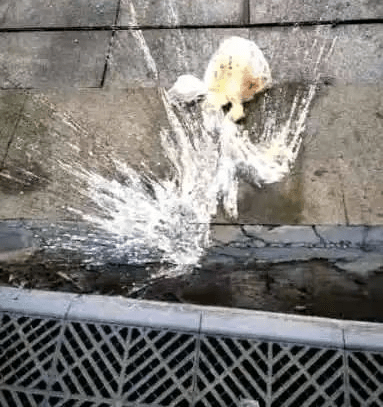 送餐超时被投诉，外卖员砍伤订餐顾客！饿了么回应…休闲区蓝鸢梦想 - Www.slyday.coM