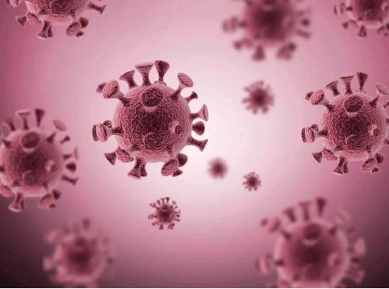 四川德阳惊现大量蝙蝠,当地人吓得不敢出门,这是什么预兆?休闲区蓝鸢梦想 - Www.slyday.coM 四川德阳惊现大量蝙蝠,当地人吓得不敢出门,这是什么预兆?休闲区蓝鸢梦想 - Www.slyday.coM