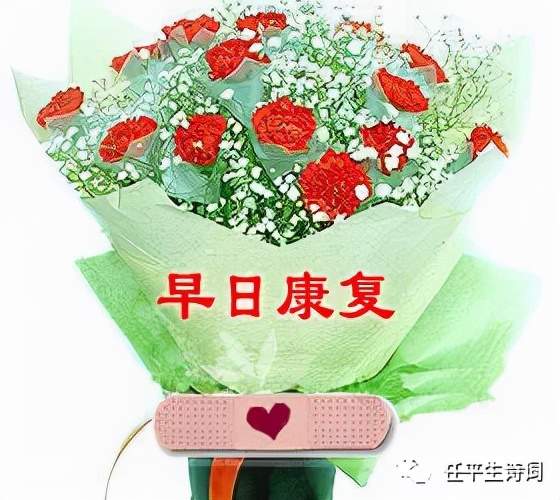 专栏任平生作品赏析生查子祝福徐宪团兄长早日康复