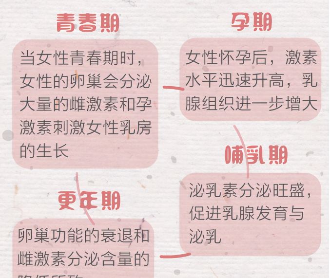 孕期,哺乳期,更年期,绝经期等阶段都会引起女性内分泌水平的波动,乳腺