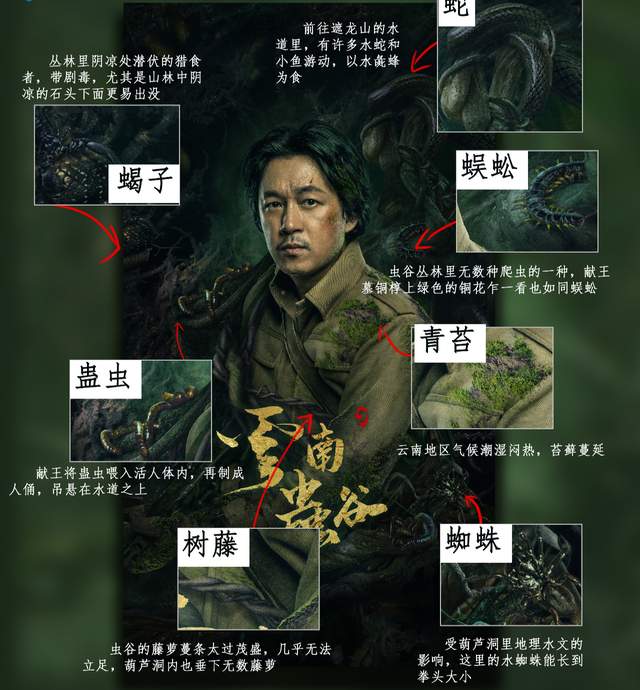 《云南虫谷》终于来了，这“摸金铁三角”必炸翻朋友圈休闲区蓝鸢梦想 - Www.slyday.coM