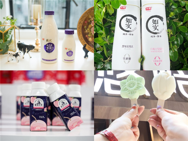 光明乳业2021年上半年营业总收入同比上升1736低温奶产