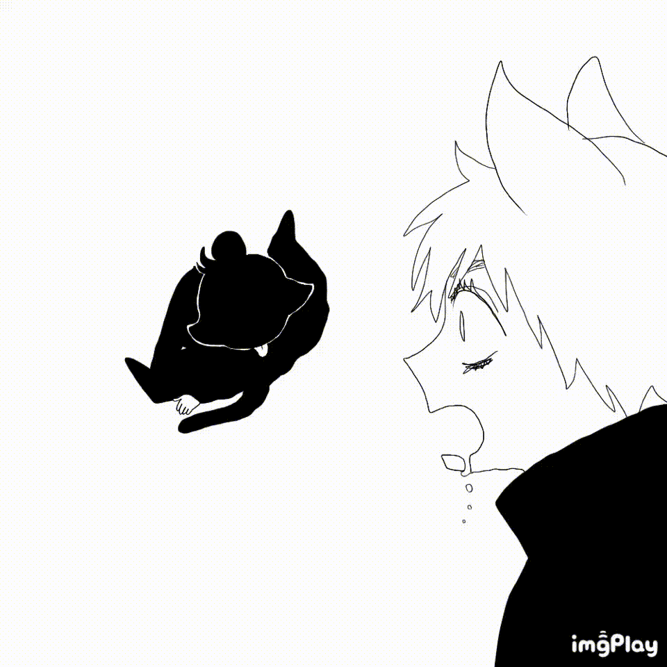 960_960gif 动态图 动图