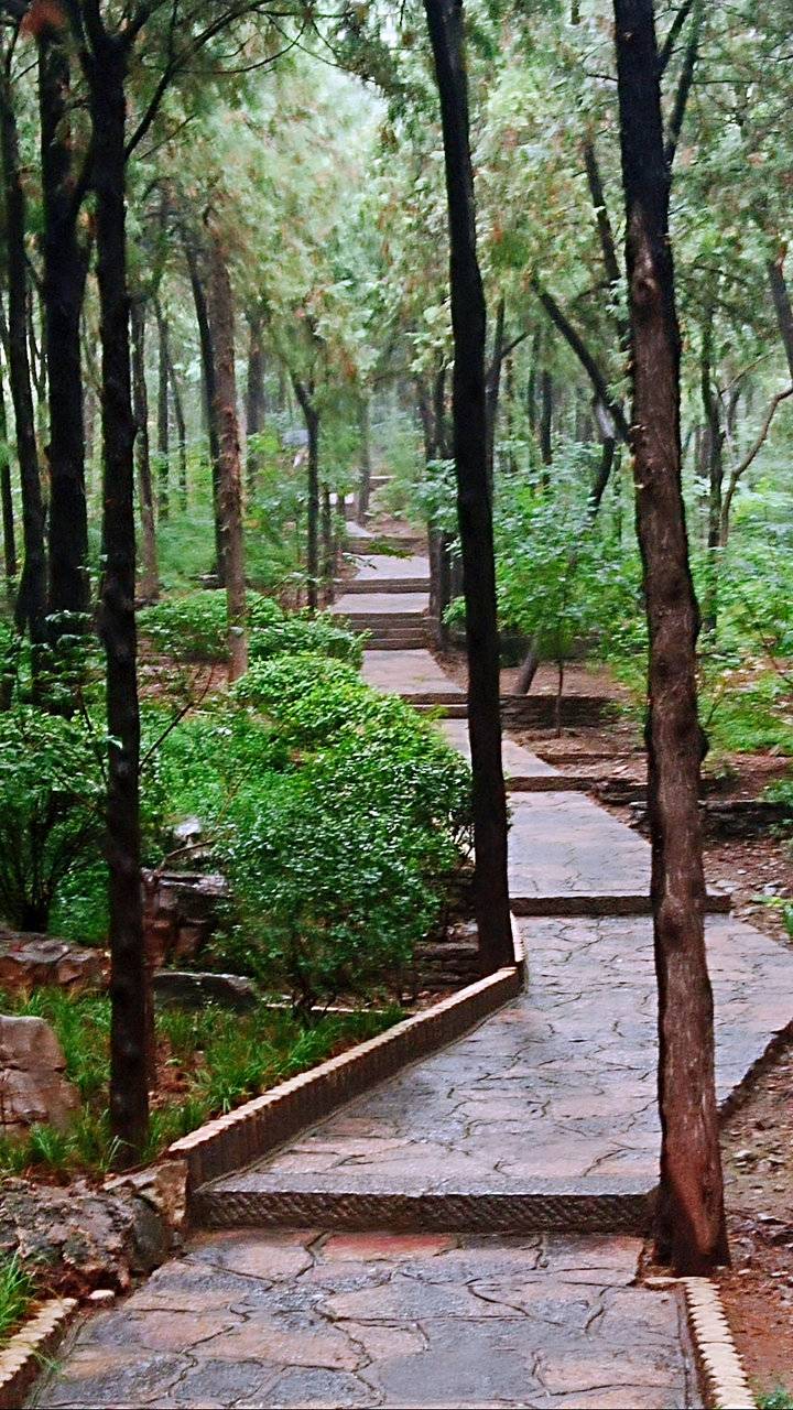 空山新雨林深岭秀静幽幽天凉好个秋