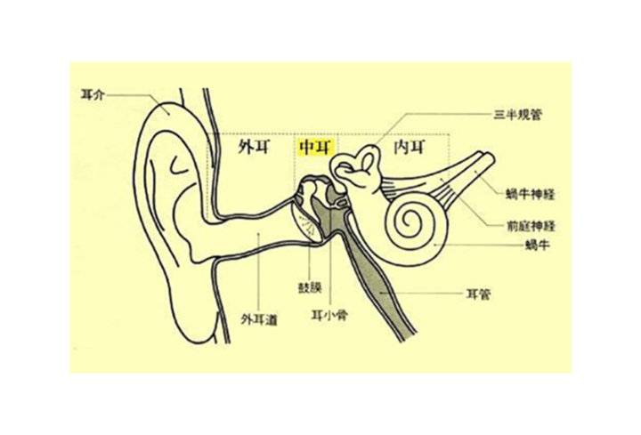 9岁儿童患面瘫,病因竟在耳朵!不要轻视你的"中耳炎"