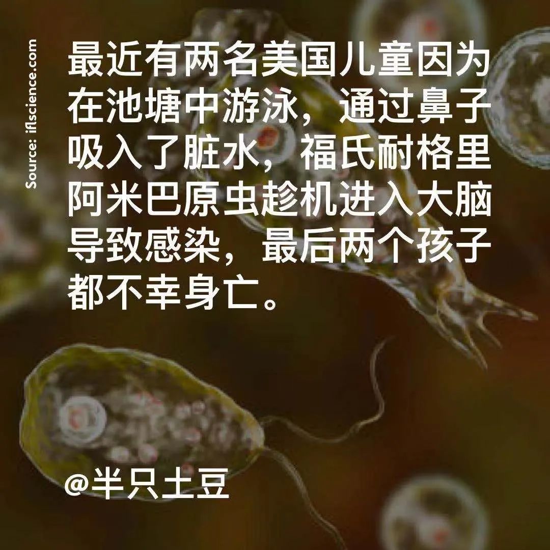 神经元等,进而引发"原发性阿米巴脑膜脑炎",人类面对这种感染几乎没有