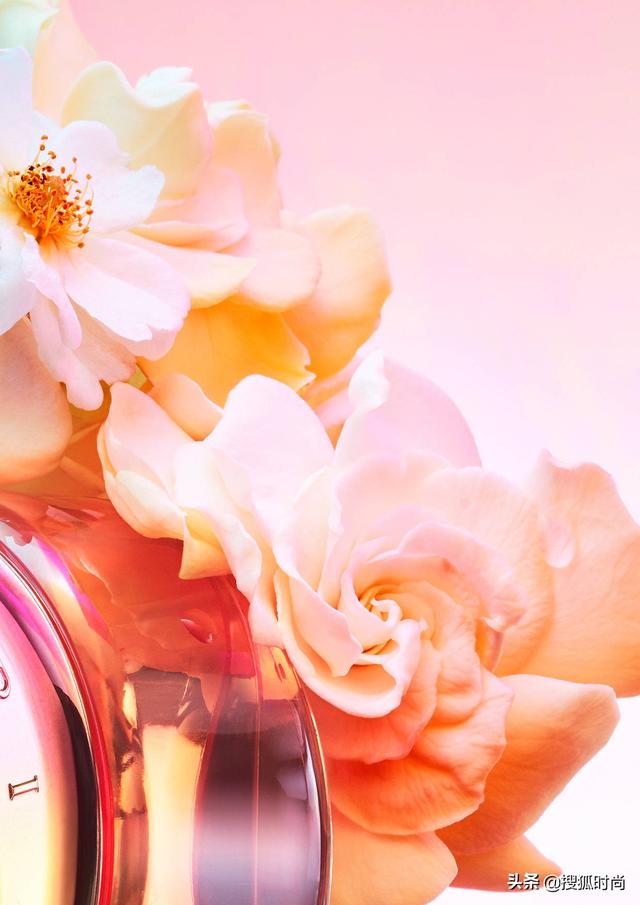 走近宝格丽香氛设计师 把鲜花的活力欲望“印”在身上休闲区蓝鸢梦想 - Www.slyday.coM