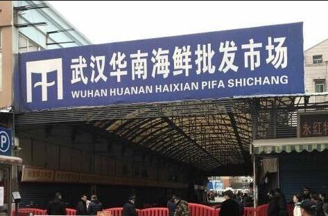 中疾控专家：武汉华南海鲜市场疫情存在冷链引入病毒可能休闲区蓝鸢梦想 - Www.slyday.coM