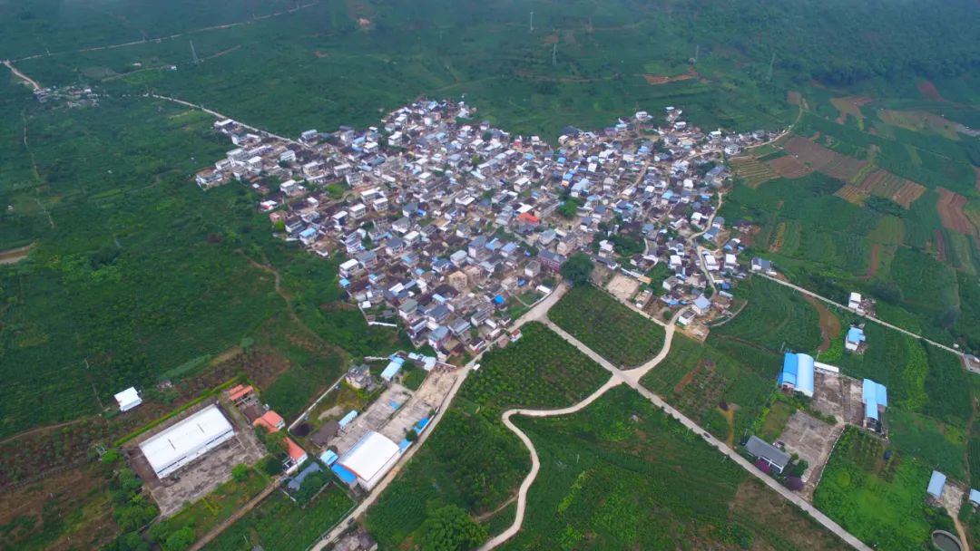 区潞江镇新寨村《走进乡村看小康》聚焦大型直播特别节目央视《新闻直