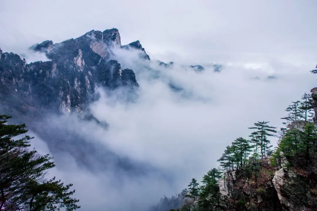 老界岭景区位于河南省南阳市西峡县境内,是伏牛山世界地质公园的核心