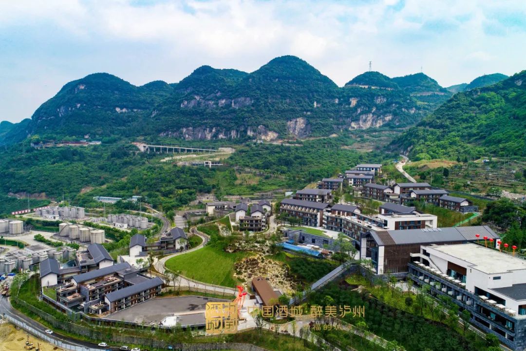 创新促发展郎酒千亿征程背后的核心密码