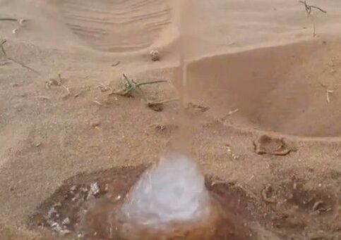 男子旅行经过沙漠把水倒在地上不料出现神奇一幕