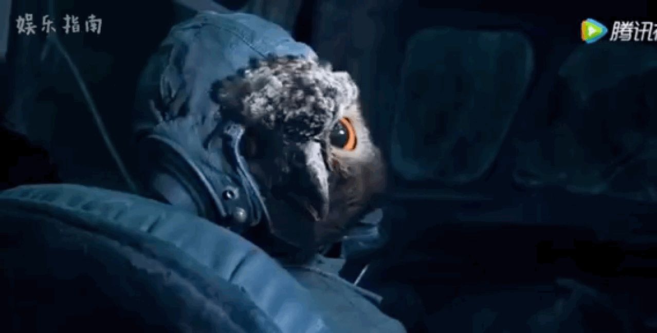 《云南虫谷》开播,口碑炸裂,"雕鸮"最惊喜,真正的良心剧!