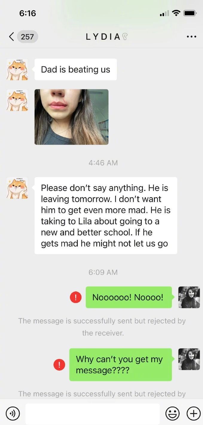 李阳前妻发文报平安，晒女儿被李阳家暴的照片，女儿嘴部被打出血休闲区蓝鸢梦想 - Www.slyday.coM