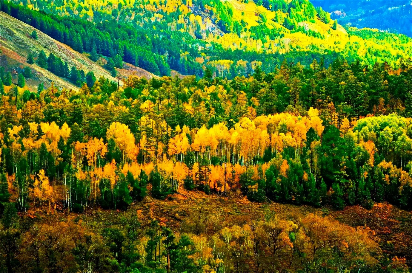 中国最美秋色旅行时刻表,枫红银杏黄,遍地色彩,第一个就想上路