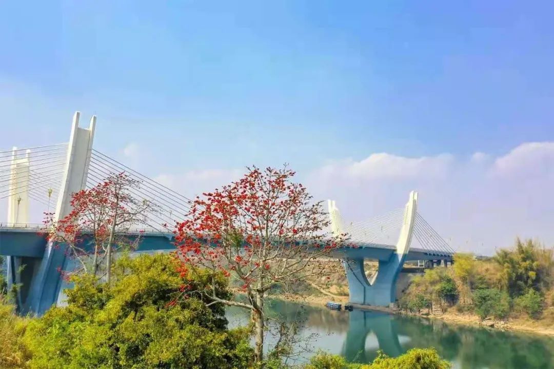 喜迎党代会61展示新成就你知道么这些重大项目改变了崇左