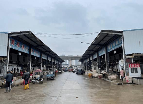 多起本土疫情溯源调查结果表明 华南海鲜市场疫情或冷链引入病毒休闲区蓝鸢梦想 - Www.slyday.coM