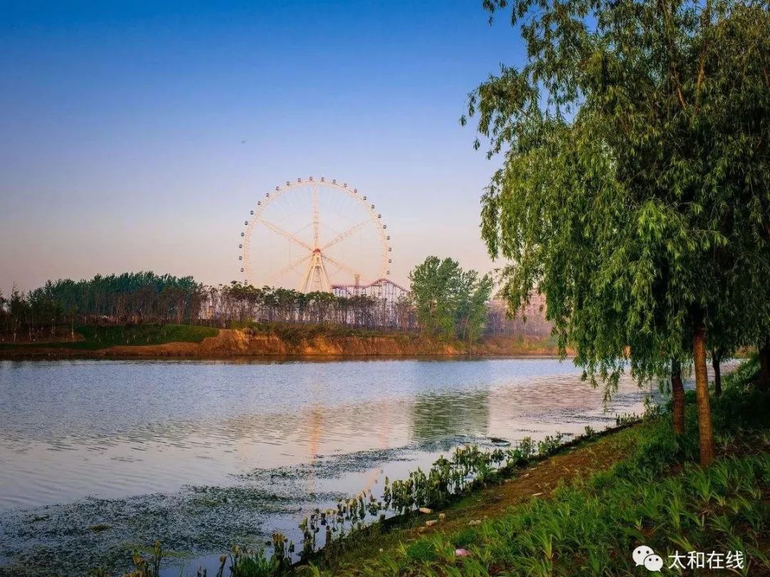 再见!太和!上万人即将离开.