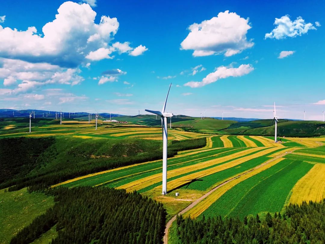 图为龙源河北公司桐风风电场