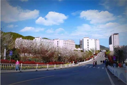 农发行西峡县支行搭建绿色金融收款平台|南阳职业学院_新浪新闻