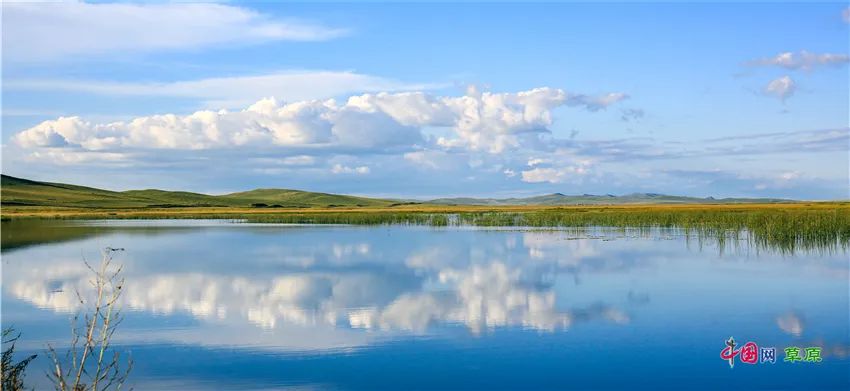 叮请查收额仑草原秋日画卷