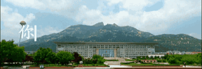 泰安报告加拿大输入确诊病例1例！在泰密切接触者5人，均已实施集中隔离医学观察，核酸检测阴性休闲区蓝鸢梦想 - Www.slyday.coM