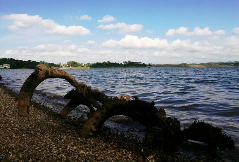 征集你镜头里的大王滩湿地印象有多美等你来show