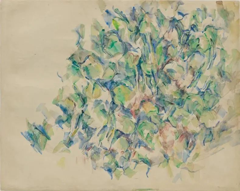 保罗·塞尚，《植物》，1990-04；纸上水彩和铅笔