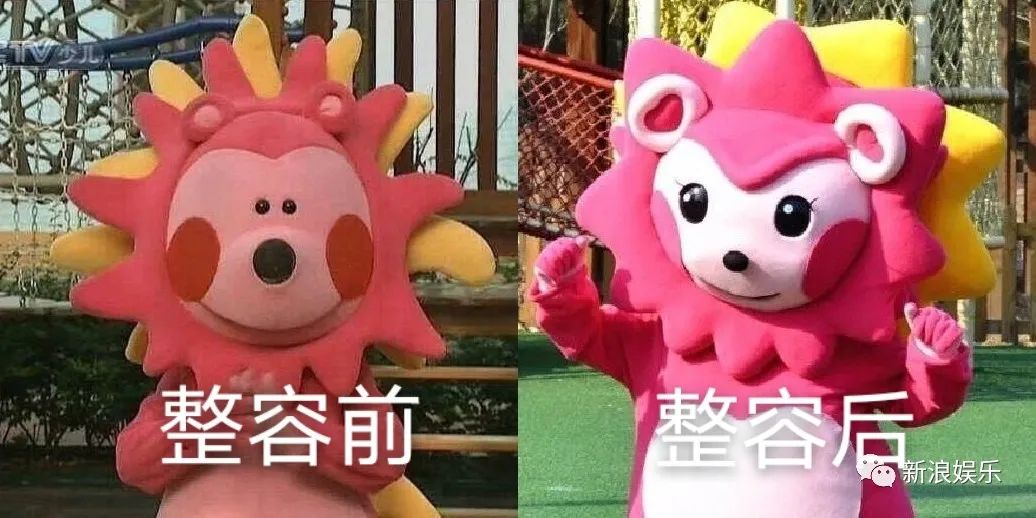 整个童年都在嗑的cp,是真的!