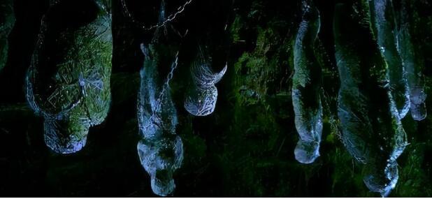 《云南虫谷》上线后褒贬不一！三大缺陷成观众诟病的重点休闲区蓝鸢梦想 - Www.slyday.coM