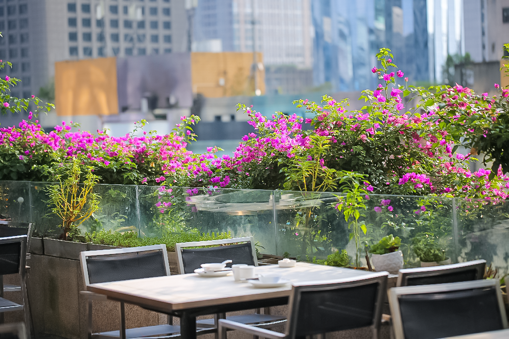 500㎡「沉浸式」花园露台餐厅就在成都市中心!有蟹有美景!